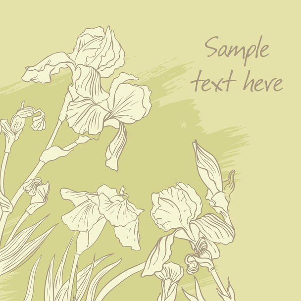 Iris flower drawing on olive background - Vecteur, image