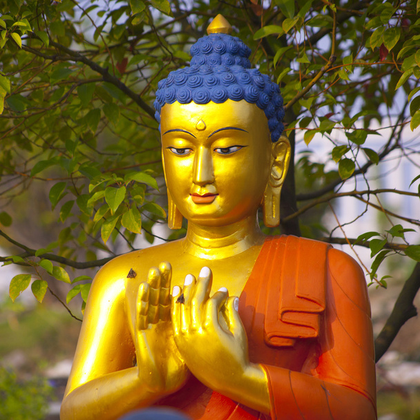 lumbini Buddha - Fotó, kép