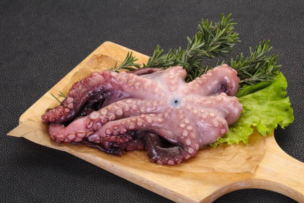 Сырой осьминог готов к приготовлению с розмарином - Фото, изображение