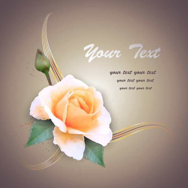 Ευχετήρια κάρτα με τριαντάφυλλο, εικονογράφηση φορέας - Διάνυσμα, εικόνα