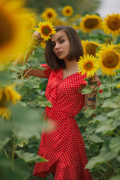 young beautiful caucasian girl in red dress in white dots stay in sunflower field - 写真・画像