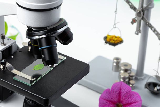 Medical laboratory. Scientific microscope with test tubes and plants - Zdjęcie, obraz
