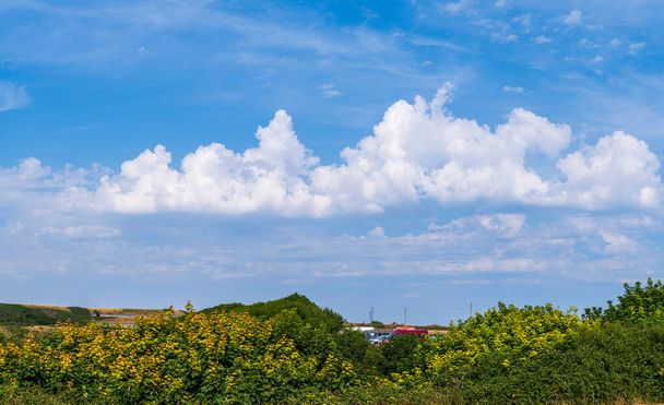 Хмарочос з великими купчастими хмарами над сільською місцевістю на острові Портленд (графство Дорсет, Англія). - Фото, зображення