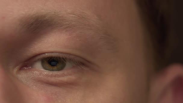 Unavené šedé oči muž na monitoru, zblízka - Záběry, video