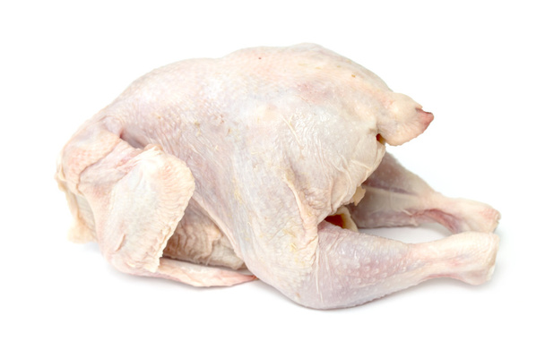 Bird chicken meat on a white background - Photo, Image