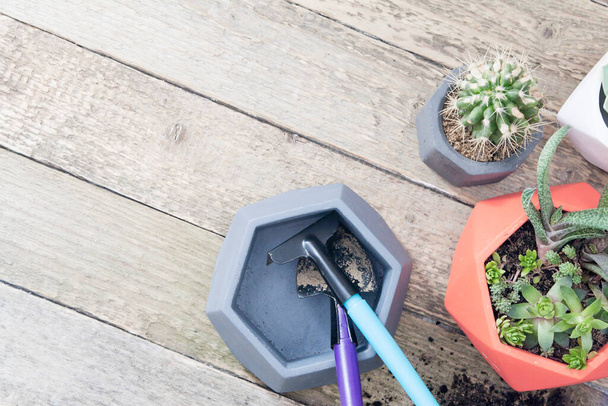 Planting home plants in pots. Gardening at home on a wooden table tools and flower pots, ground. Copy space - Fotoğraf, Görsel