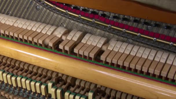 Detailweergave van een piano die 4K 50 fps speelt - Video
