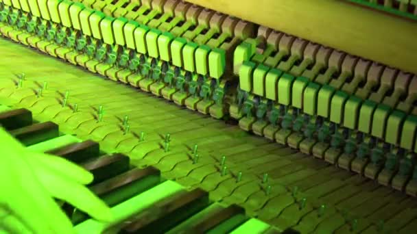 Detailweergave van een piano die 4K 59.94fps speelt - Video