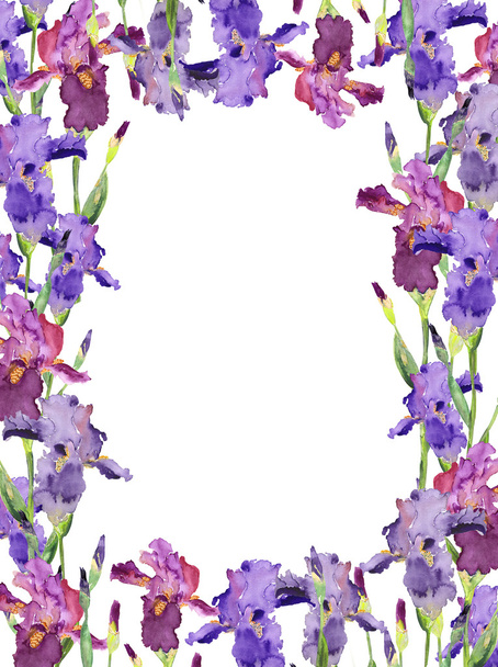 cadre iris
 - Photo, image