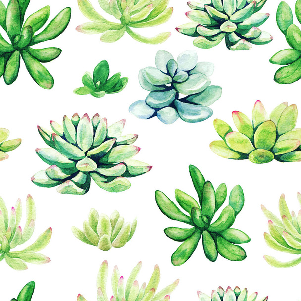 Bright green watercolor succulent plants, seamless pattern - Zdjęcie, obraz