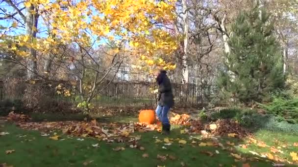 γυναίκα τσουγκράνα κήπων δέντρο - Πλάνα, βίντεο