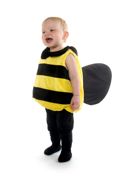 Menino em traje de abelha
 - Foto, Imagem