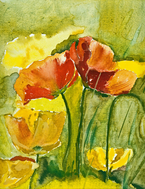 Poppies - Фото, изображение