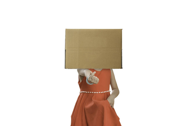 Kafasına karton kutu takmış, beyaz arka planda izole edilmiş küçük bir kız.. - Fotoğraf, Görsel