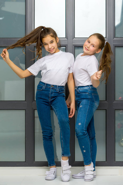 Two cute little girls posing in the studio near a large window. - Foto, Imagen