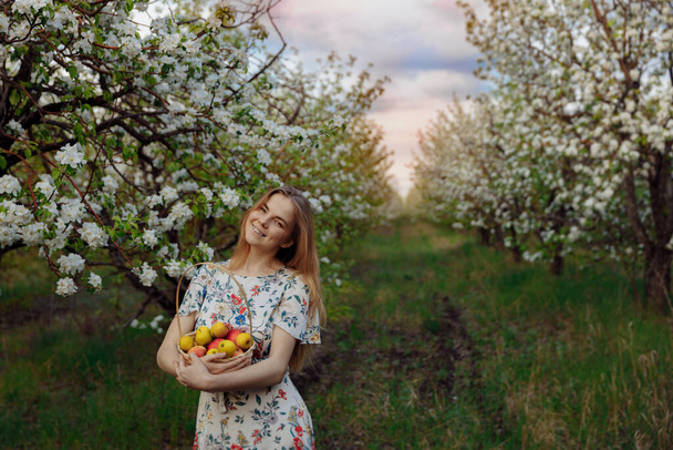 A smiling girl in a white dress stands in a beautiful Apple orchard. The girl has a basket of apples in her hands. - Foto, Imagem