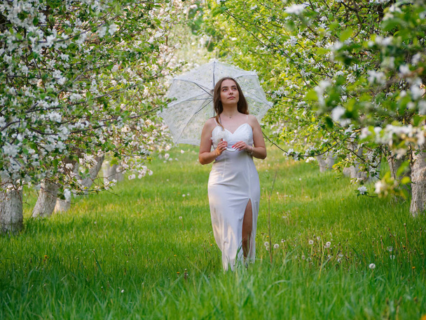 Tyttö, jolla on valkoinen sateenvarjo kukkivissa omenapuissa puutarhassa 2020
 - Valokuva, kuva