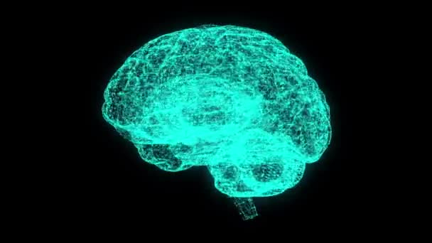 Mózg 3D z efektem hologramu reprezentował sztuczną inteligencję lub uczenie maszynowe. Animacja pętli - Materiał filmowy, wideo