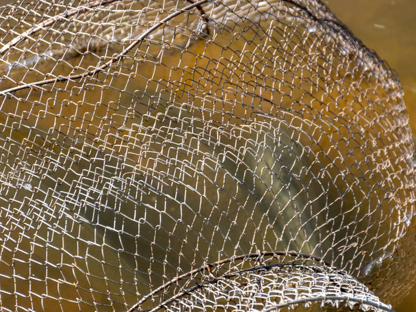 quadro com rede de peixes na água, pesca como um conceito de lazer, água e textura de cana seca
 - Foto, Imagem