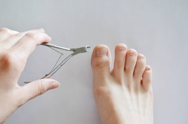 Vrouwelijke voeten benen nagel tondeuses in handen schoonheid pedicure op witte achtergrond isolatie. Spa thuis - Foto, afbeelding