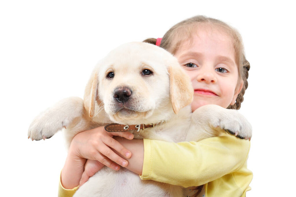 Portrait of a cute girl holding a Labrador puppy in her arms isolated on white background - Valokuva, kuva