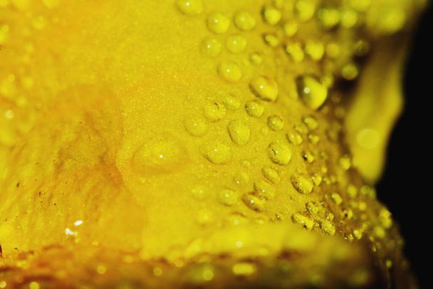 Makrotropfen und gelbe Blume in der Natur für schönen Hintergrund - Foto, Bild