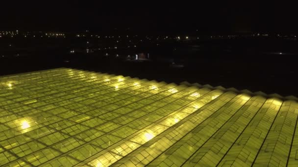 Aerial look-down view of the greenhouse with artificial lighting. - Footage, Video
