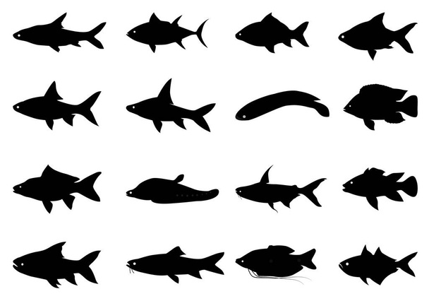 vector illustration of fish and sea animals - Вектор,изображение
