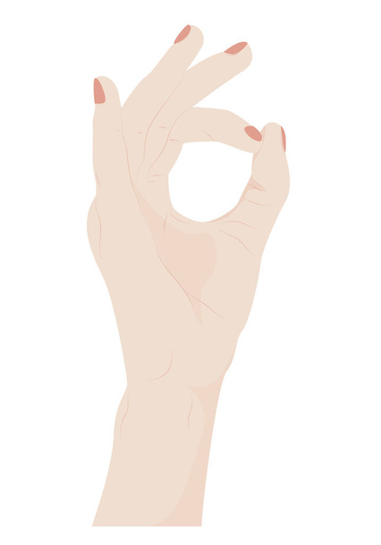 A kéz okés jelet mutat. vektor illusztráció - Vektor, kép