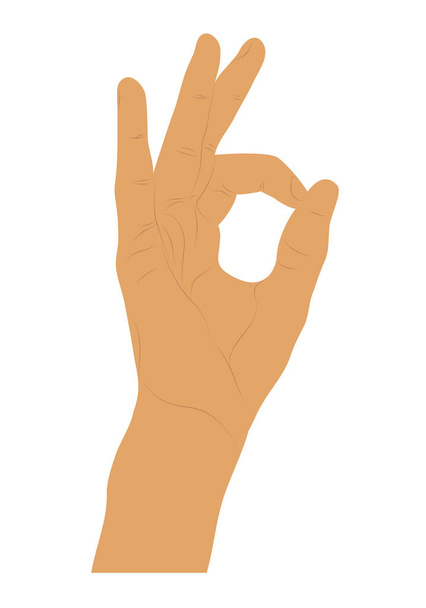 Ok gesto della mano isolato su sfondo bianco - Vettoriali, immagini