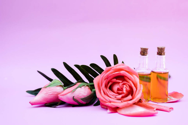Essential oil, Rose flower, Rose perfume on white background, spa aromatherapy. - Фото, изображение