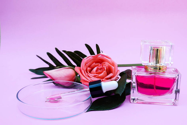 Huile essentielle, Fleur de rose, Parfum de rose sur fond blanc, aromathérapie spa
. - Photo, image