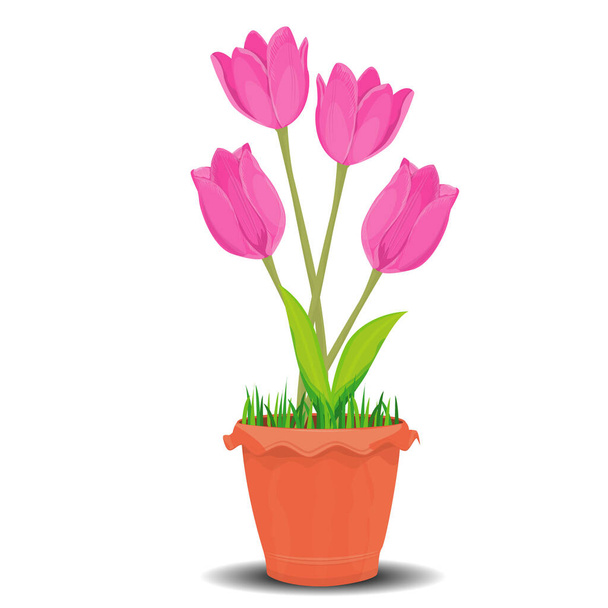 pink tulips in a pot - Vektör, Görsel