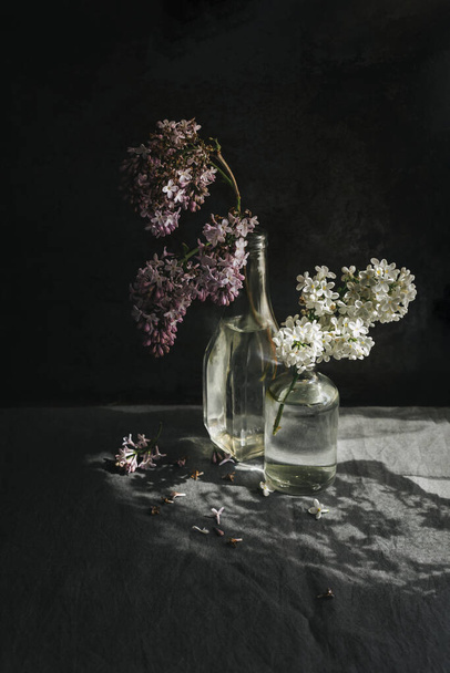 Still life with purple and white lilac branches in sunlight. Dark background.  - Photo, Image