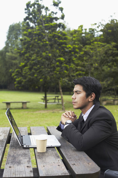 Young Asian businessman in a park with his laptop - Foto, Imagen