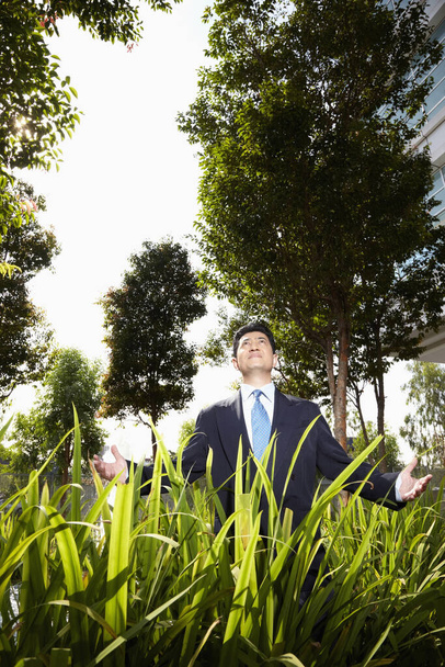 Businessman standing among grass outdoors - Foto, imagen