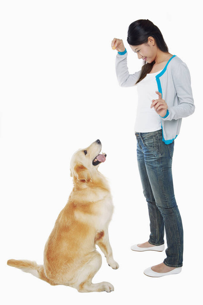 A dog pet with a young woman owner - Foto, Imagen