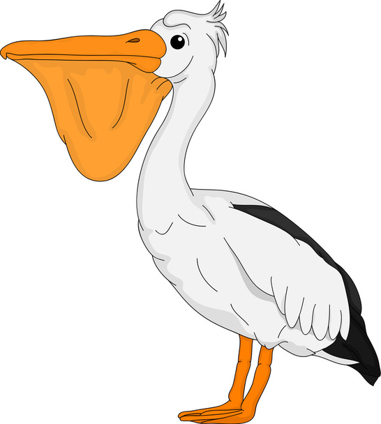 Pelican - Vektori, kuva