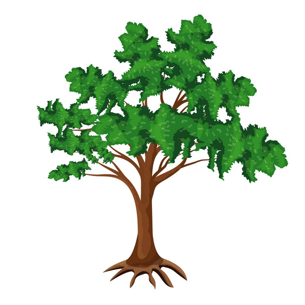 δέντρο με πράσινα φύλλα σε λευκό φόντο - Διάνυσμα, εικόνα