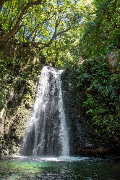 Wandern und entdecken Sie den Prego Salto Wasserfall auf der Insel São Miguel, Azoren, Portugal. - Foto, Bild