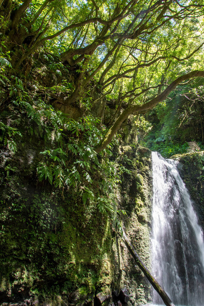 spacer i odkryj wodospad prego salto na wyspie Sao Miguel, Azory, Portugalia. - Zdjęcie, obraz