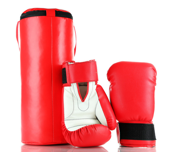 Boxing gloves and punching bag, isolated on white - Фото, зображення