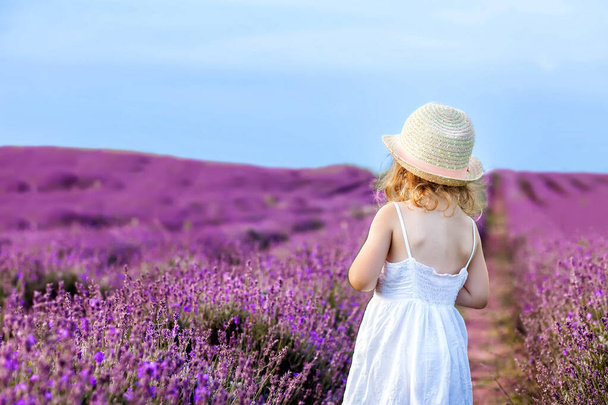 Mädchen im weißen Kleid auf einem Lavendelfeld - Foto, Bild