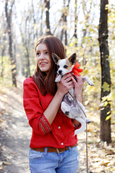 Atractivo chica abrazo precioso juguete pequeño perro terrier mascota en arco rojo, look familiar al aire libre
 - Foto, imagen