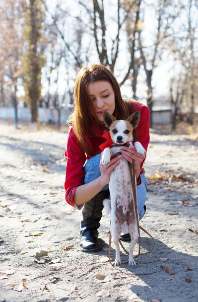 Schöne Teenager-Mädchen halten Spielzeug Terrier Hund mit Leine und roter Schleife im Freien, Haustier der Familie - Foto, Bild