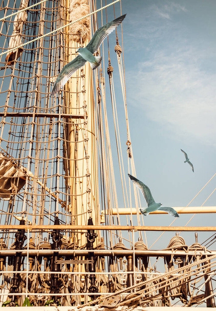 Matériel nautique d'un ancien voilier survolant des mouettes volantes. Cordes à gréer et échelles à corde sur les mâts du voilier pour votre concept d'aventures en mer
. - Photo, image