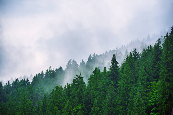 Misty mountain landscape - Foto, immagini