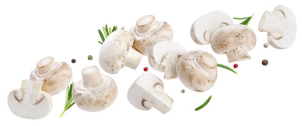 Fallen Pilze Sammlung, fliegen ganze und in Scheiben geschnittene Champignons isoliert auf weißem Hintergrund mit Clipping-Pfad - Foto, Bild