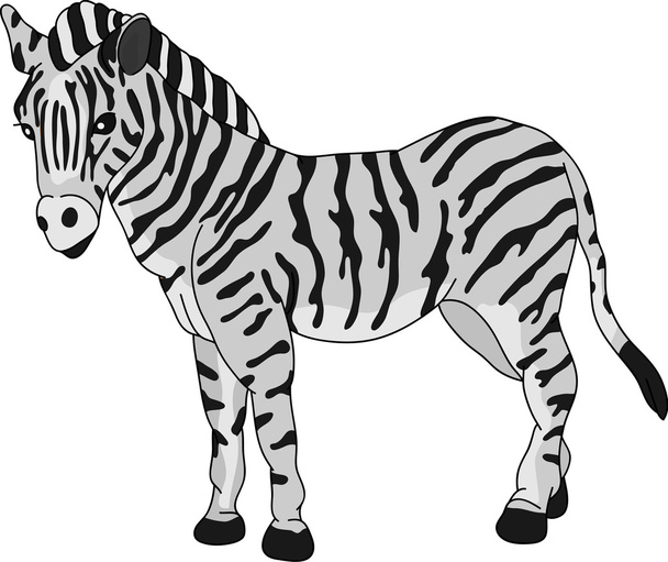 Zebra - Vektör, Görsel