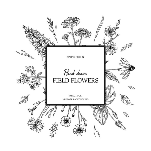 Ręcznie rysowane lato dzikie kwiaty kwadratowe ramki. Ilustracja wektora w szkicu stile - Wektor, obraz